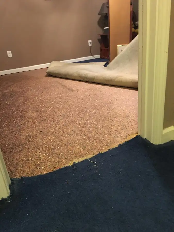 Carpet pad removal revealing water damage during Drying & Dehumidification in Dickson City