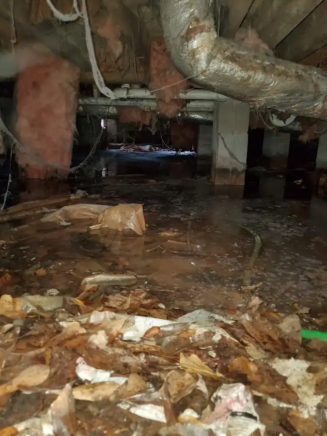 Crawl space flood assessment for Leak Detection & Repair in Dickson City