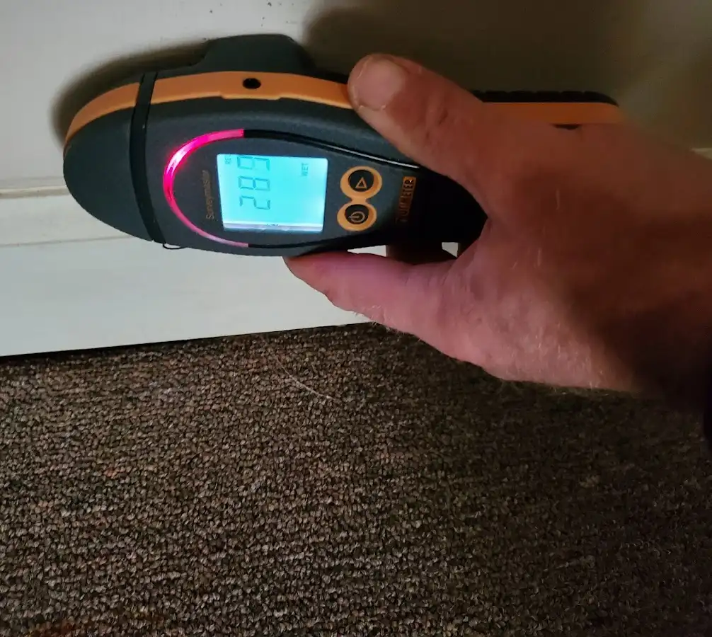 Moisture detection at baseboard during Sewage Cleanup & Sanitation in Dickson City